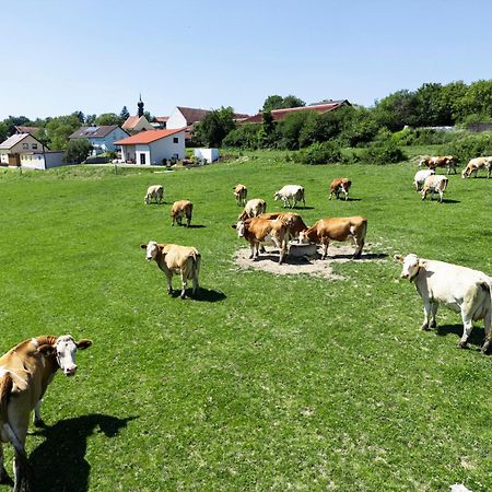 Ferienwohnung Wo Sich Kuh, Fuchs Und Hase Gute Nacht Sagen Wolfsegg Exterior foto
